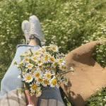 Munia Khan - @naimunnahar_khan - Instagram