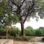 munia. khan - @munia._kh - Instagram