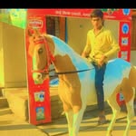 Muneer Syed - @munir.syed.302 - Instagram