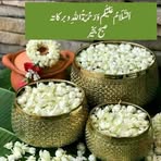 Munir Syed - Facebook