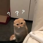 Mười Dương - @dqm._2002 - Instagram