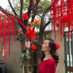 Muoi Duong - @duongthmuoi - Instagram