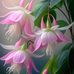 Murali Kala - Facebook