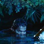 Murali Kalaga - @murali.kalaga - Instagram