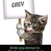 Murat Ahmed - @muratahmed - TikTok