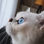𝙼𝚞𝚛𝚊𝚝 𝙰𝙺𝚂𝚄 🇹🇷 - @murat__aksu - Instagram