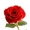 Murat Inanc - @murat.inanc5 - TikTok