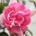 Muriel Archer - Facebook