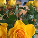 Muriel Collins Crowther - @collinscrowther - Instagram