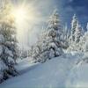 muriellecorriveau - @user19562005 - TikTok