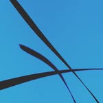Muriel Farmer - @lensfarmerjournal - Instagram
