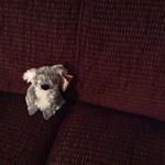 Muriel Fraser - @lmfraser08 - Instagram