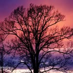 Muriel Gamble - @lavons_photography - Instagram