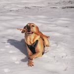 Muriel Kessler - @muriel.k1110 - Instagram