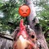 Muriel._kids - @muriel._kids - TikTok