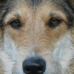 Muriel Kuhn - Facebook