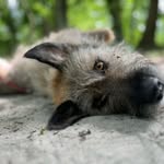 Muriel - @muriel.kuhn1233 - Instagram
