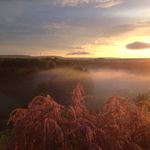 Muriel Lang - @muriel.lang.37 - Instagram
