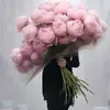 Muriel Levy - @muriel.levy3 - TikTok