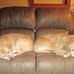 Muriel Matthews - Facebook