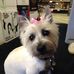 Muriel McCarthy - Facebook