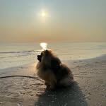 Muriel Meyer - @muriel.canelle - Instagram