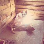 muriel meyer - @murymey31 - Instagram
