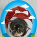 Muriel Myers - Facebook