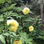 Muriel Scotto - @murielscotto - Instagram
