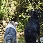Muriel Richard - @muriel.richard.04020308 - Instagram