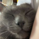 Muriel - @muriel._rose - Instagram