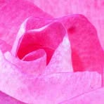 Muriel Schofield - Facebook