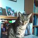 Muriel Sharp - Facebook
