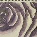 Muriel Hayes-Sinclair Artist - Facebook