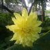 Muriel Slater - Facebook