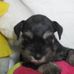 Muriel Slater - Facebook