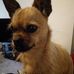 Muriel Swan - Facebook