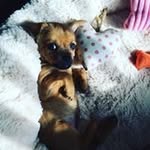 Muriel Swan - @swanmuriel - Instagram