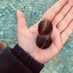Bensaon Audgustus - @scoatt_murielturner_oliverog46 - Instagram