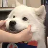 muriel_wang - @muriel_wang - TikTok