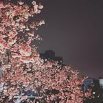 @muriel_wang - Instagram