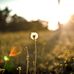 Muriel Wang - Facebook