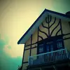 Muriel Wang - @muriel.wang - TikTok