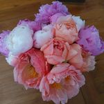 Muriel Winter - @muriel.winterstein - Instagram