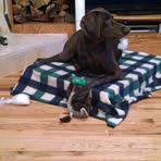 Murphy Chambliss - Facebook