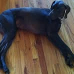 Murphy Chambliss - Facebook