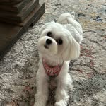 Beth Murphy Curry - @dbcurry - Instagram