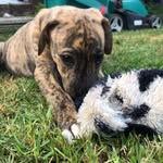 Murphy Evans - @murphy_evans05 - Instagram