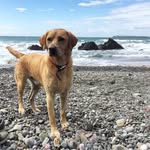 Murphy Machell-Evans - @adventures_of_murphy_ - Instagram