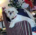 Murphy Holmes - Facebook